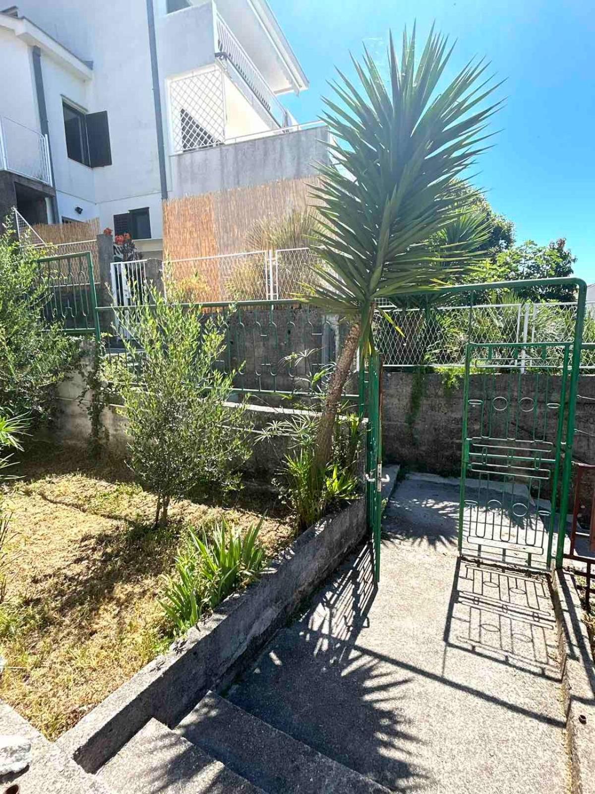 Apartments Maya Herceg Novi Ngoại thất bức ảnh