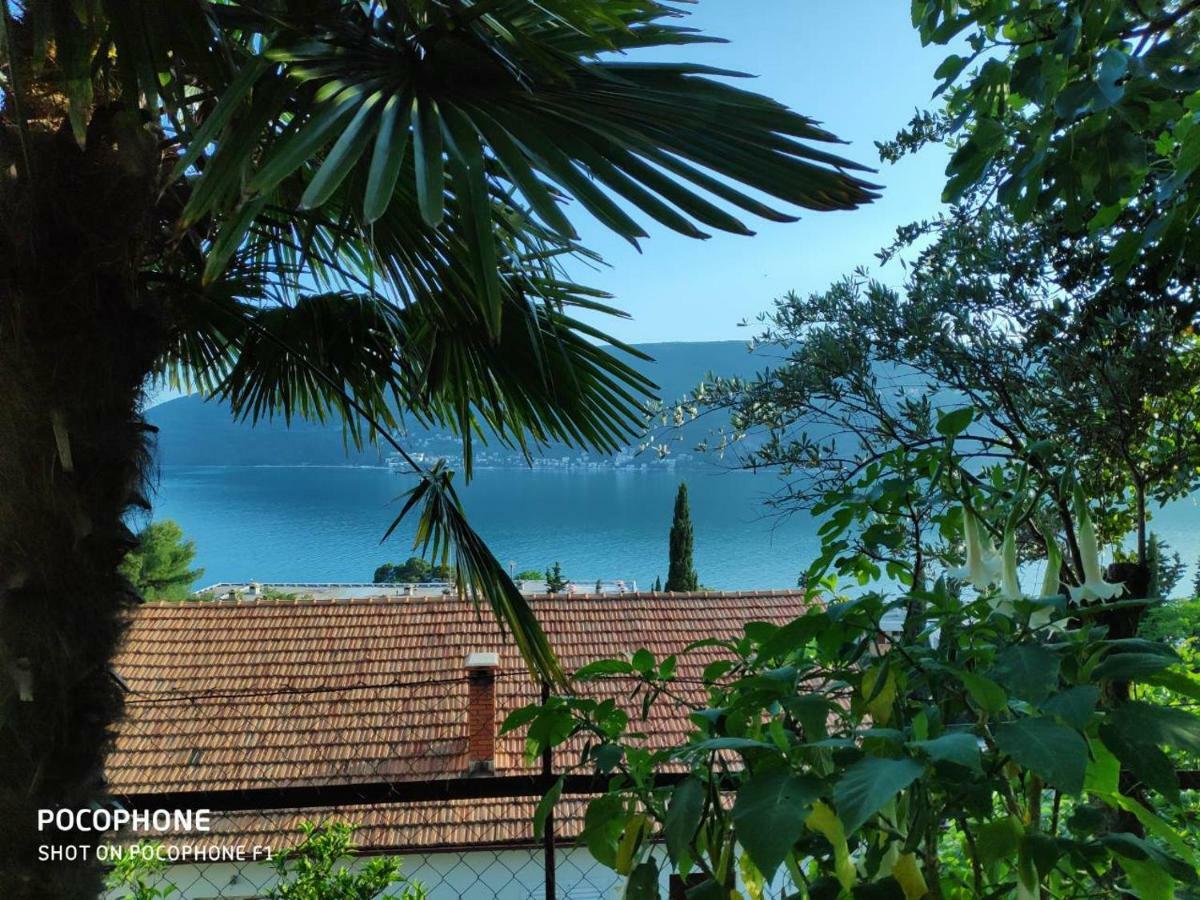 Apartments Maya Herceg Novi Ngoại thất bức ảnh